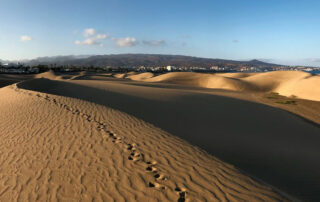 Turismo-de-experiencias-en-Gran-Canaria-Experiential-Tourism-in-Gran-Canaria-FirstMinute-Excursions-LastMinute-Transfer