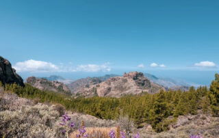 Ecoturismo en Gran Canaria - Eco tourism in Gran Canaria - First Minute Excursions y Last Minute Transfer