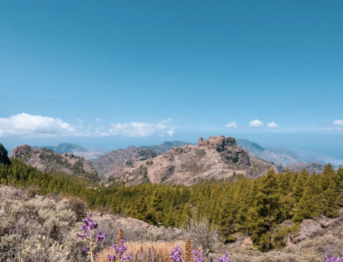 Ecotourism in Gran Canaria