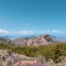 Ecoturismo en Gran Canaria - Eco tourism in Gran Canaria - First Minute Excursions y Last Minute Transfer