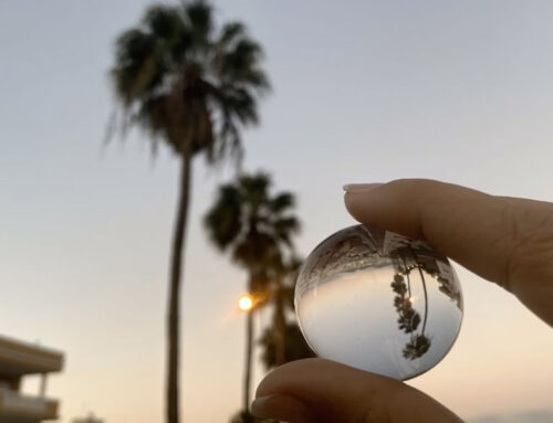 Microclimates in Gran Canaria
