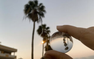 Microclimas en Gran Canaria - Microclimates in Gran Canaria - First Minute Excursions y Last Minute Transfer