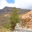 Los Azulejos de Veneguera Gran Canaria - First Minute Excursions - Last Minute Transfer
