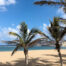 Dónde alojarse en Gran Canaria - Where to stay in Gran Canaria - First Minute Excursions, Last Minute Transfer