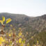 Caldera de Bandama, ideal para senderismo - First Minute Excursions - Last Minute Transfer
