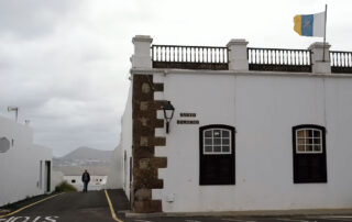 Panza de burro en Canarias - First Minute Excursions - Last Minute Transfer