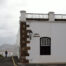 Panza de burro en Canarias - First Minute Excursions - Last Minute Transfer