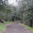 Parque Rural de Doramas - First Minute Excursions, Last Minute Transfer