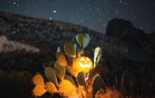 Halloween en Lanzarote - Halloween in Lanzarote - First Minute Exursions - Last Minute Transfer