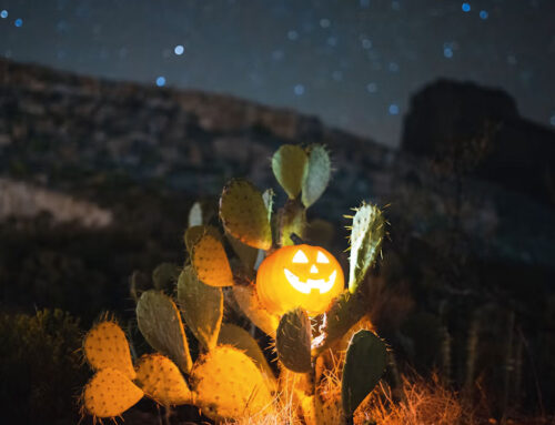 Halloween en Lanzarote 2026