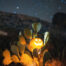 Halloween en Lanzarote - Halloween in Lanzarote - First Minute Exursions - Last Minute Transfer